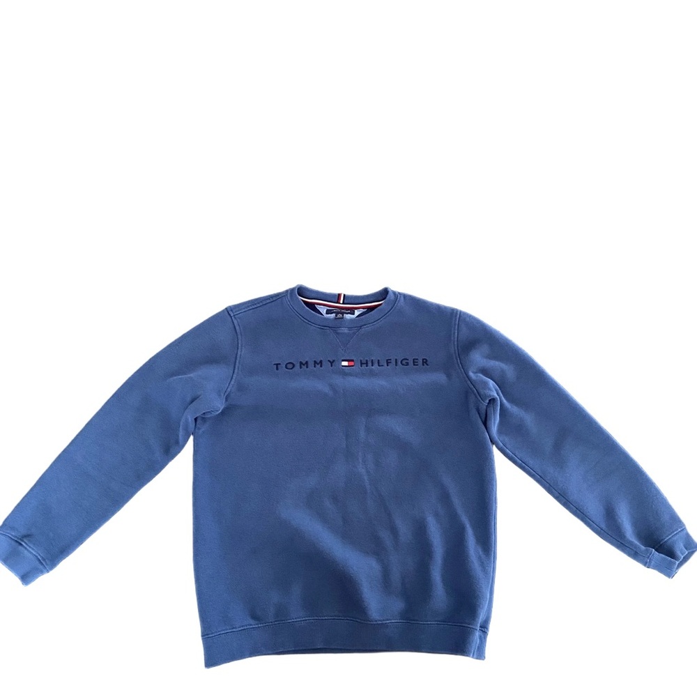 Tommy Hilfiger Men's Crewneck Sweater in Blue